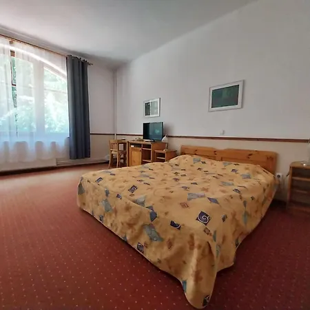 Bakony Hotel