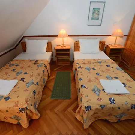 Hotel Bakony