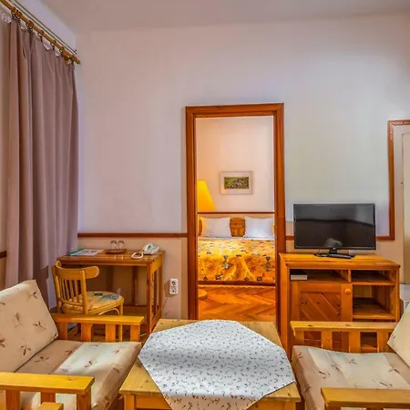 Отель Bakony 2*